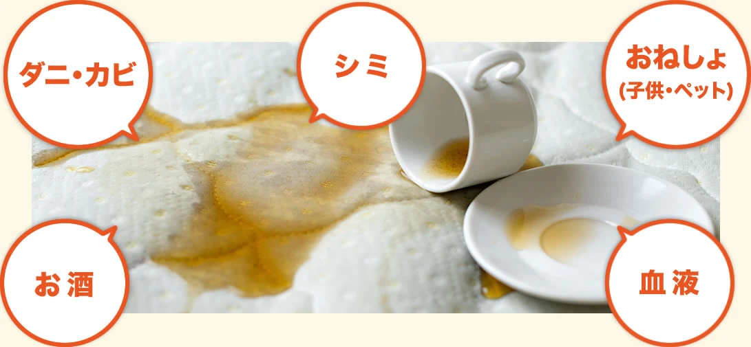 ダニ・カビ、シミ、おねしょ(子供・ペット)、お酒、血液